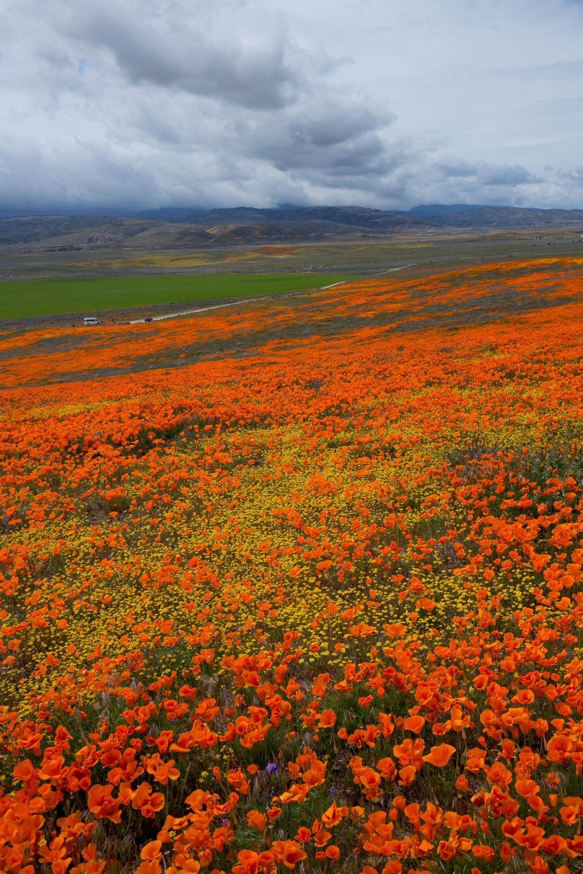 Antelope Valley